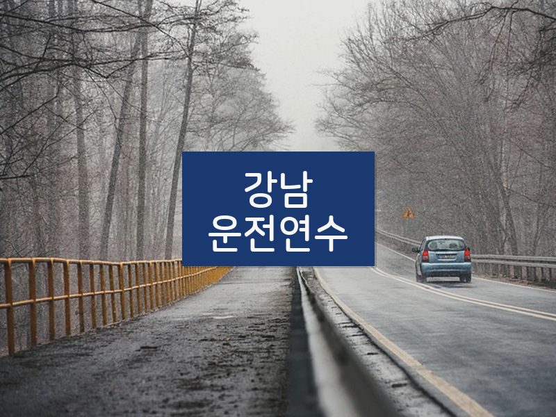 강남운전연수 후기