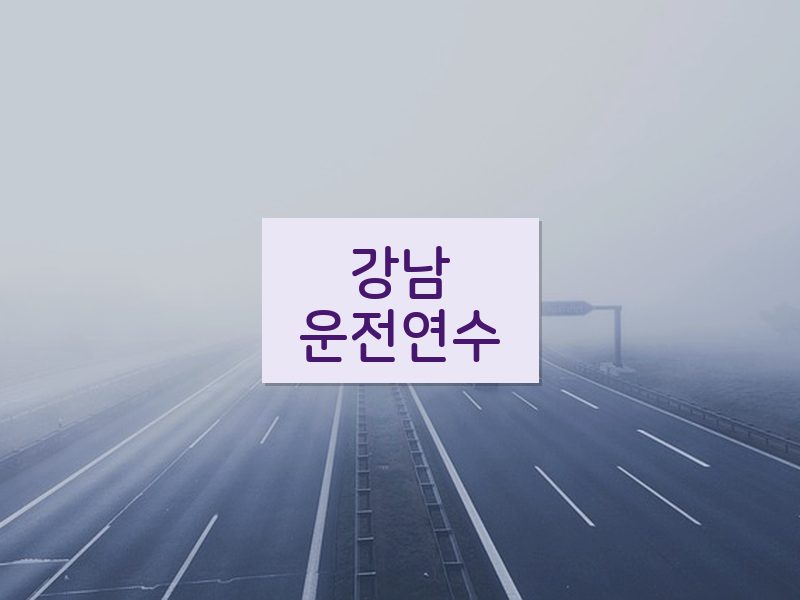 강남운전연수 후기