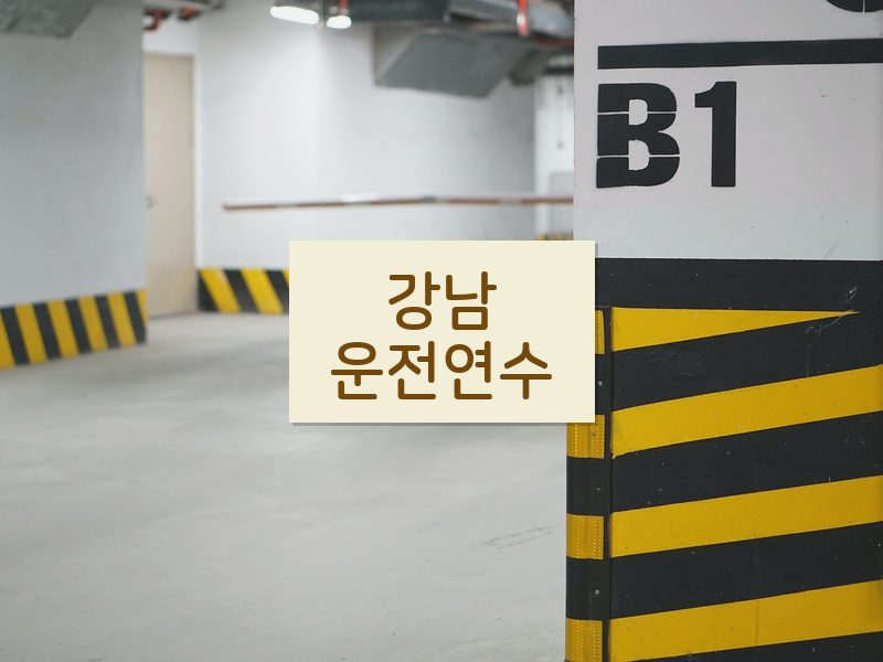 강남운전연수 후기