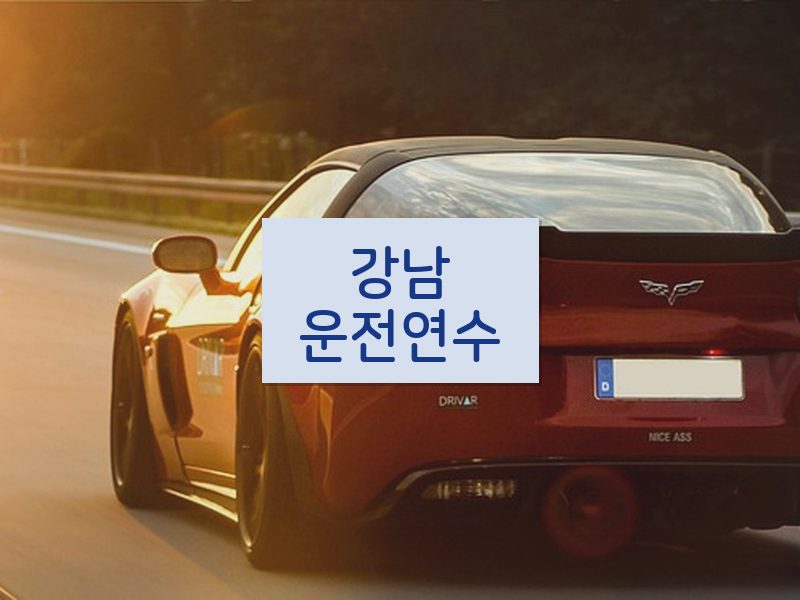 강남운전연수 후기
