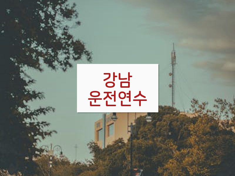 강남운전연수 후기